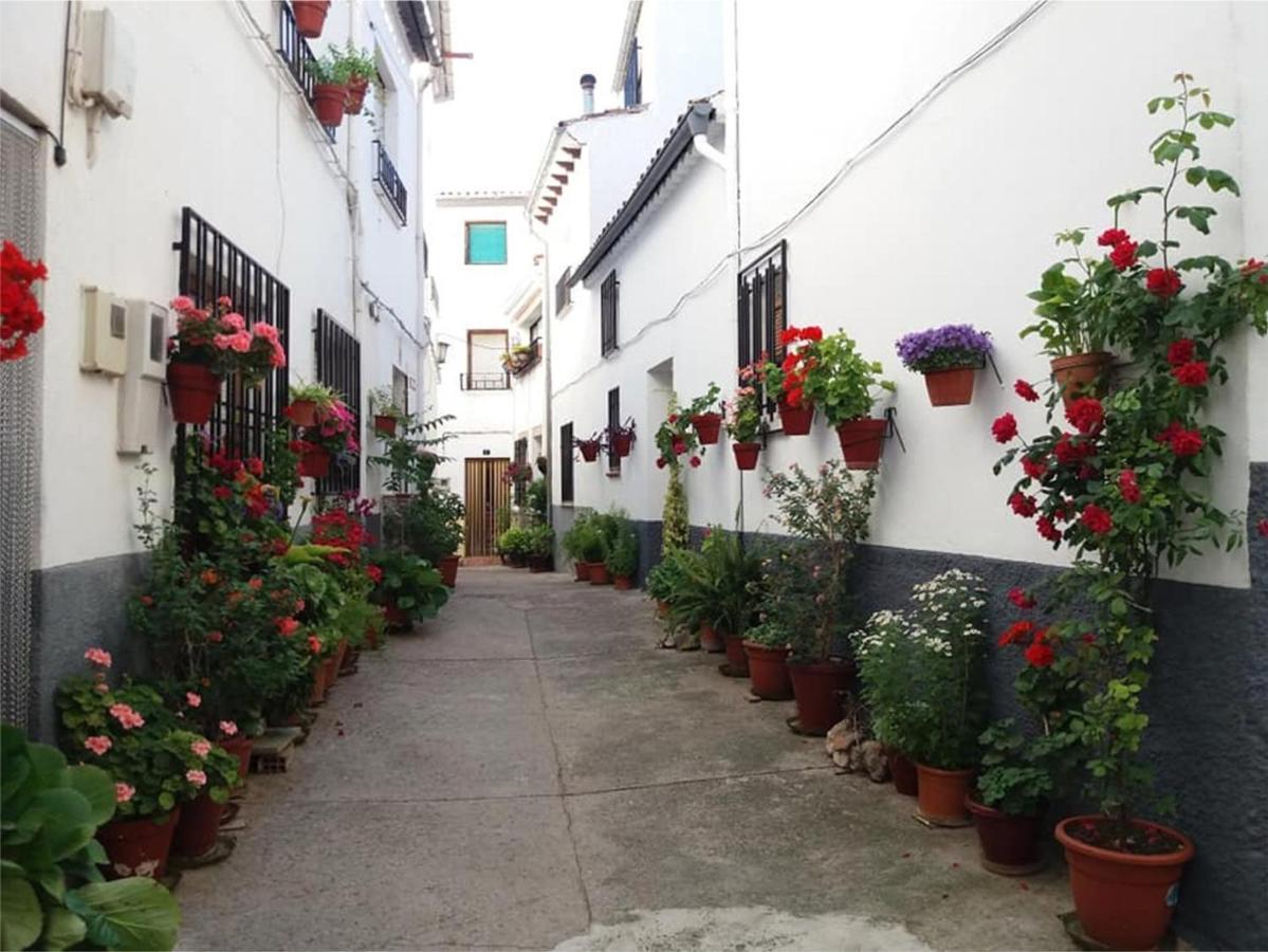 Villa Casa Veva - Siles Esterno foto